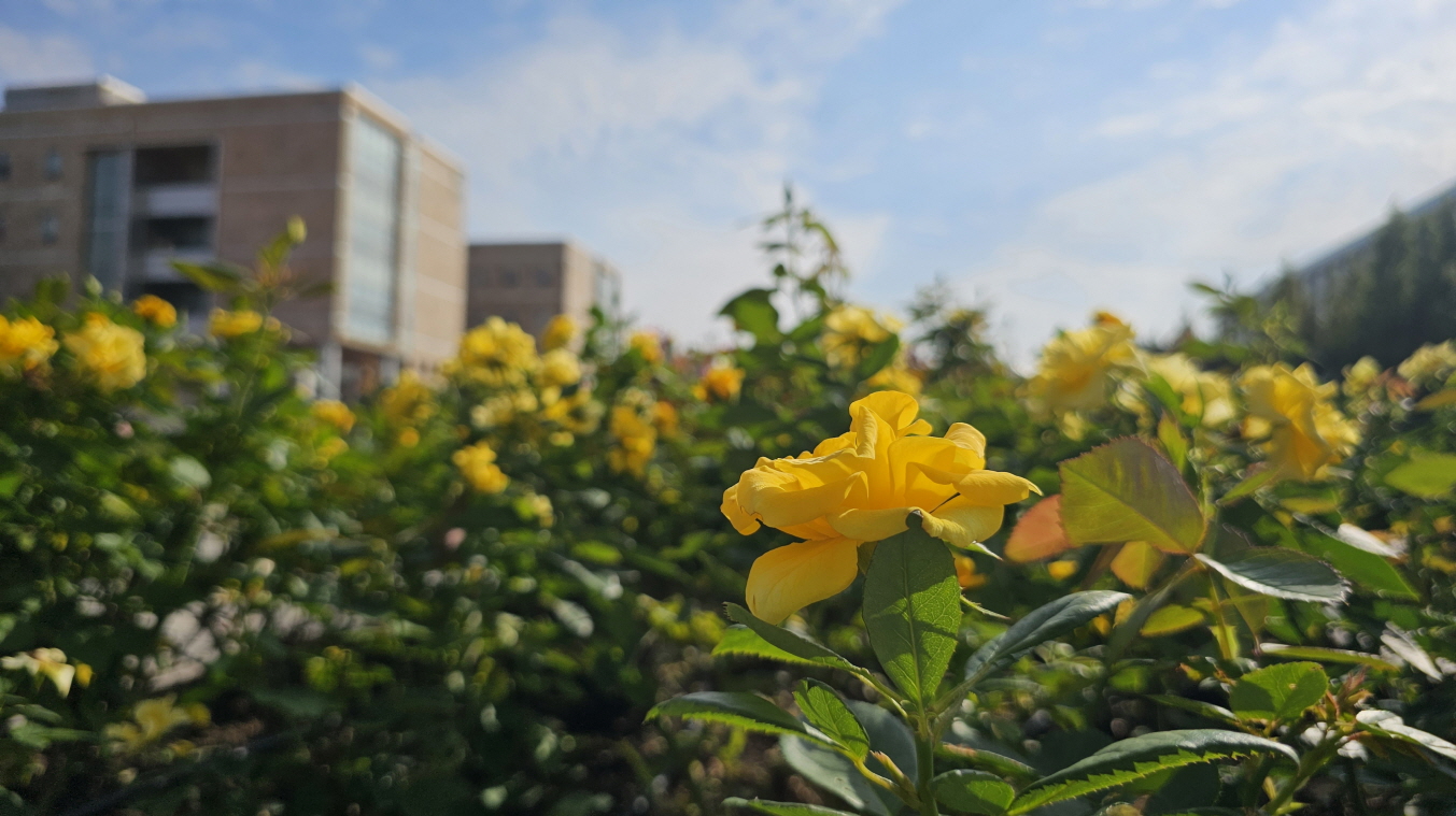 학교전경_20230831 (2).jpg